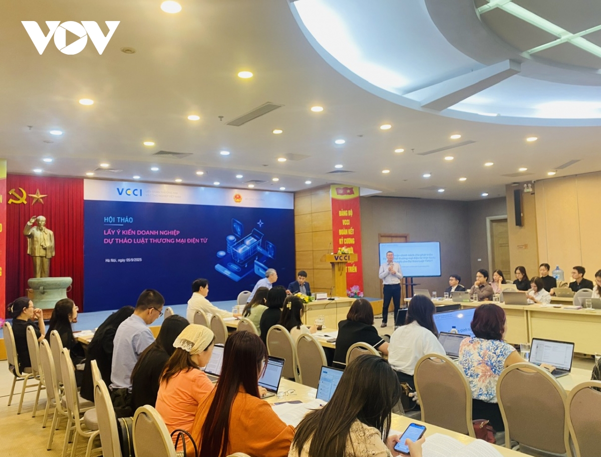 Hoàn thiện khung pháp lý thương mại điện tử: Tránh bảo hộ ngược, tạo động lực cho kinh tế